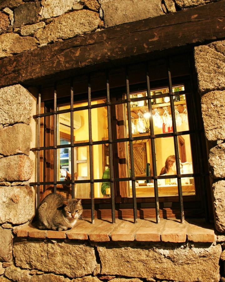Posada La Gatera Pedro Bernardo Zewnętrze zdjęcie